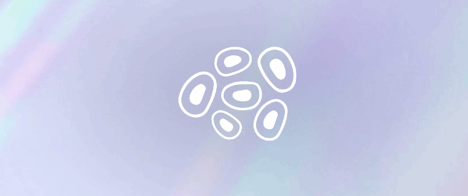 Skin micro relief